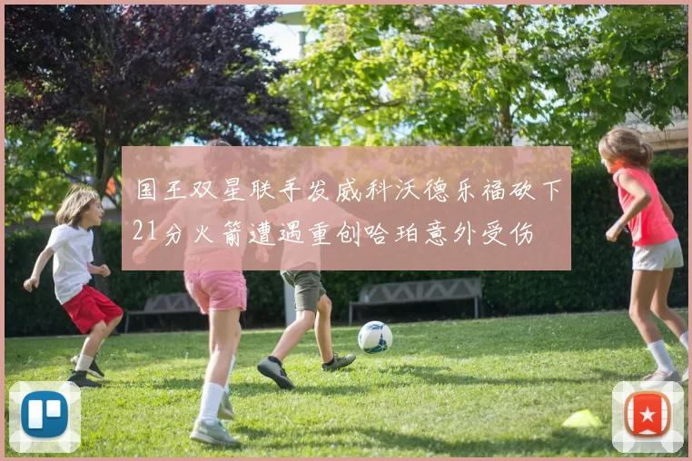 国王双星联手发威科沃德乐福砍下21分火箭遭遇重创哈珀意外受伤